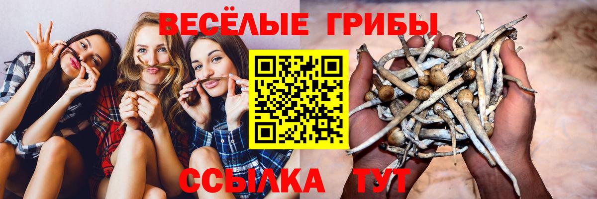 Галлюциногенные грибы Cubensis  Вход с VPN  Советский 